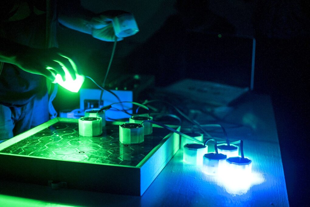 Borders of Experiments – Ctrl Freq